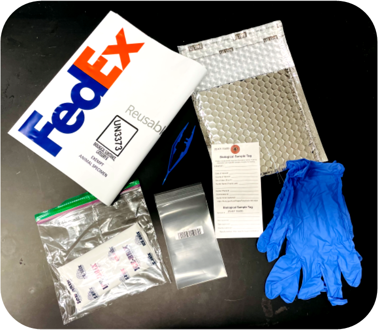 kit_picture.png