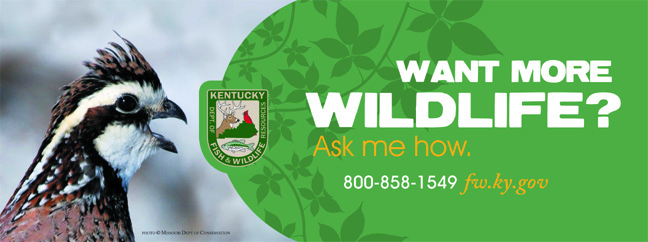 Improve Your Land for Wildlife